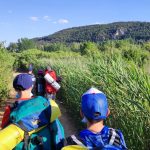 AltoTAjo_0629_24