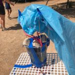 AltoTAjo_0803 (1)