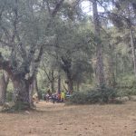 AltoTAjo_0803 (16)