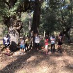 AltoTAjo_0803 (17)