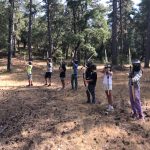 AltoTAjo_0803 (18)