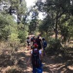 AltoTAjo_0803 (19)