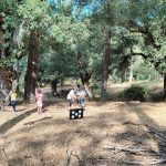 AltoTAjo_0803 (25)