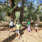 AltoTAjo_0803 (29)