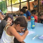 AltoTAjo_0805 (23)