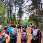 AltoTAjo_0808 (11)