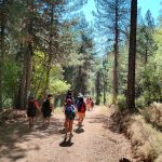 AltoTAjo_0808 (41)