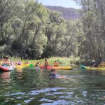 AltoTAjo_0811 (24)