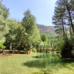 AltoTAjo_0811 (4)