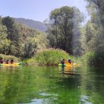 AltoTAjo_0811 (41)