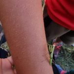 AltoTajo_0629_19