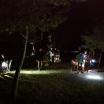 AltoTajo_0718_07