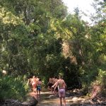 AltoTajo_0719_73