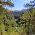 AltoTajo_0722_04