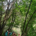 AltoTajo_0722_06