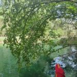 AltoTajo_0722_65