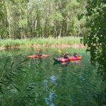 AltoTajo_0722_67