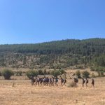 AltoTajo_0726_05