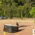 AltoTajo_0727_92