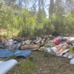 AltoTAjo_0705 (1)
