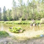 AltoTAjo_0714 (11)