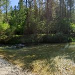 AltoTAjo_0714 (12)