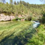 AltoTAjo_0714 (17)