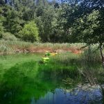 AltoTAjo_0715 (10)