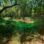 AltoTAjo_0715 (11)