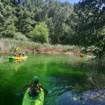 AltoTAjo_0715 (12)