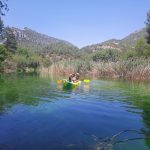 AltoTAjo_0715 (14)