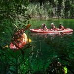AltoTAjo_0715 (15)
