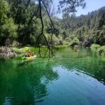 AltoTAjo_0715 (17)