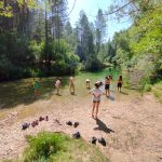 AltoTAjo_0715 (20)