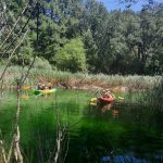 AltoTAjo_0715 (9)